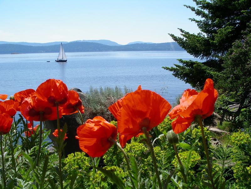 Serenity By The Sea Retreats Montague Harbour Exterior photo